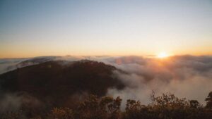 Cómo detectar el kilometraje manipulado al comprar un coche de segunda mano